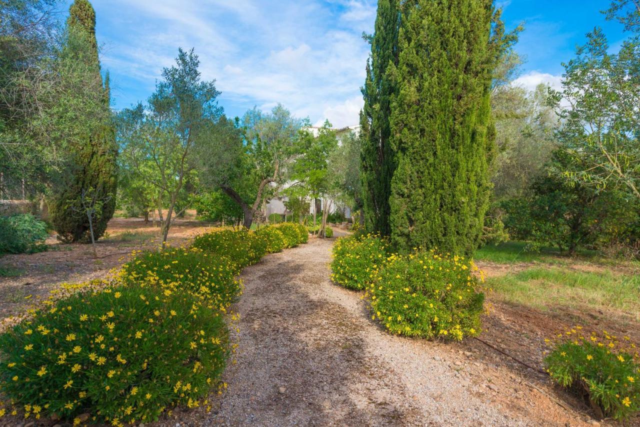 Cas Pilot Villa Santa Maria del Cami (Mallorca)